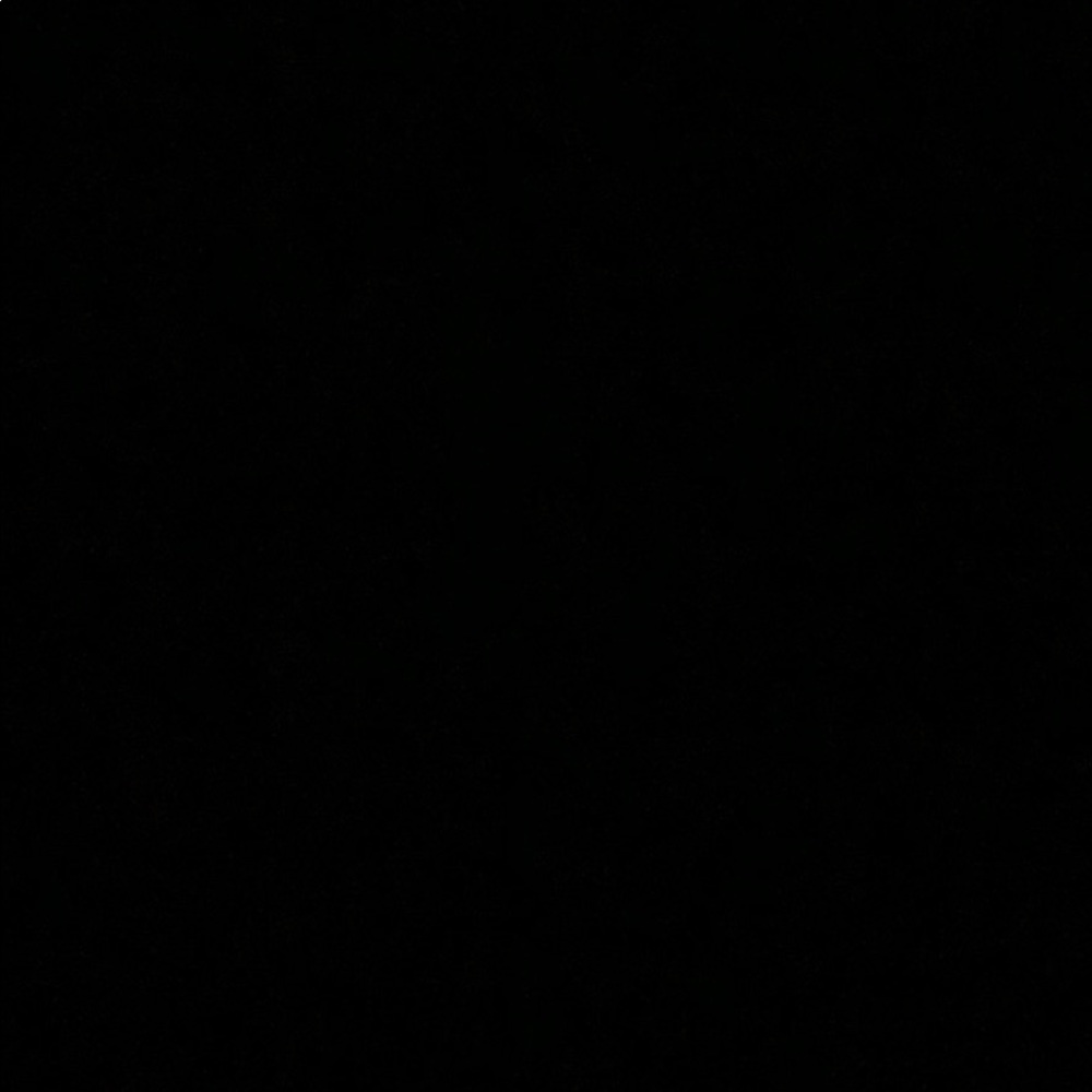 Meet your Posher, Tehila